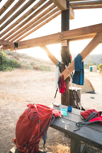 Daily Posts: Documenting Your Journey